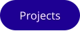 Projects
